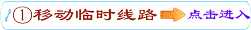 移动专用线路